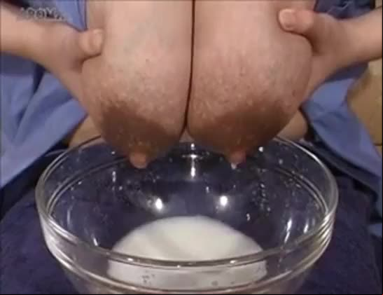 Japanese udders